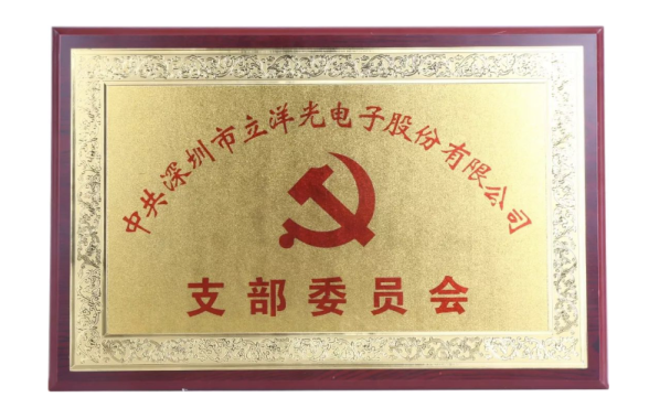 喜讯：立洋党支部委员会正式成立！